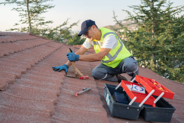 Professional Roofing Contractor in Porters Neck, NC