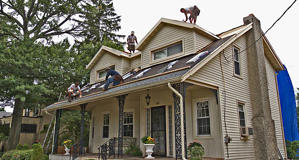 Best Roof Gutter Cleaning  in Porters Neck, NC